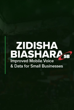 Zidisha Plus
